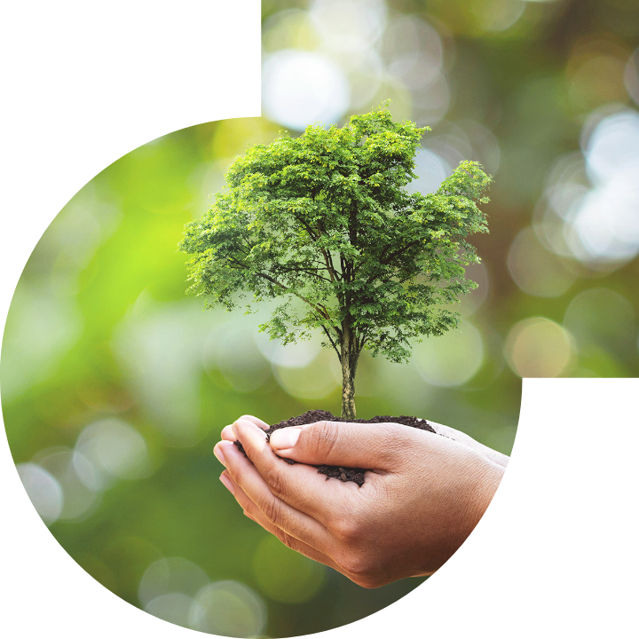 关怀人类、文化、环境与社会